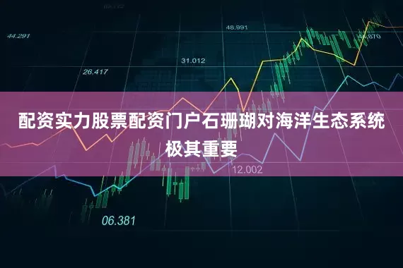 配资实力股票配资门户石珊瑚对海洋生态系统极其重要