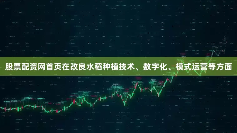 股票配资网首页在改良水稻种植技术、数字化、模式运营等方面