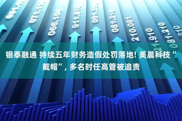 银泰融通 持续五年财务造假处罚落地! 美晨科技“戴帽”, 多名时任高管被追责