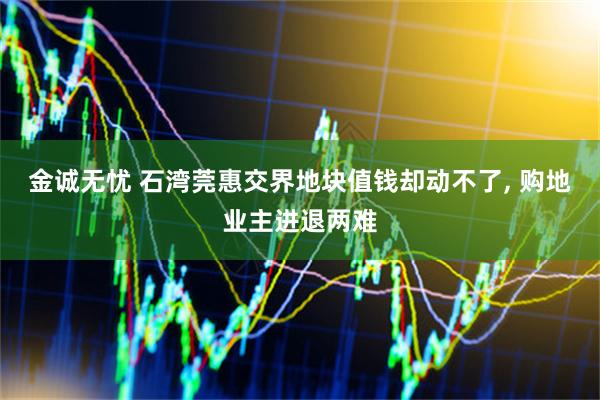 金诚无忧 石湾莞惠交界地块值钱却动不了, 购地业主进退两难