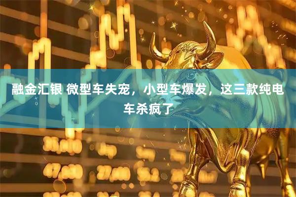 融金汇银 微型车失宠，小型车爆发，这三款纯电车杀疯了