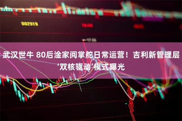 武汉世牛 80后淦家阅掌舵日常运营！吉利新管理层‘双核驱动’模式曝光